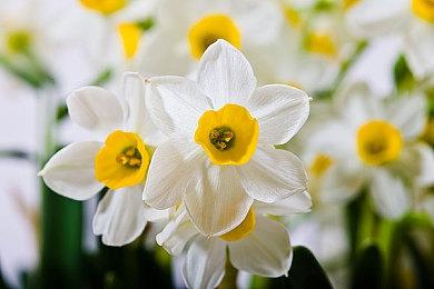 SE宣布《魔咒之地》跳票到2023年1月发售